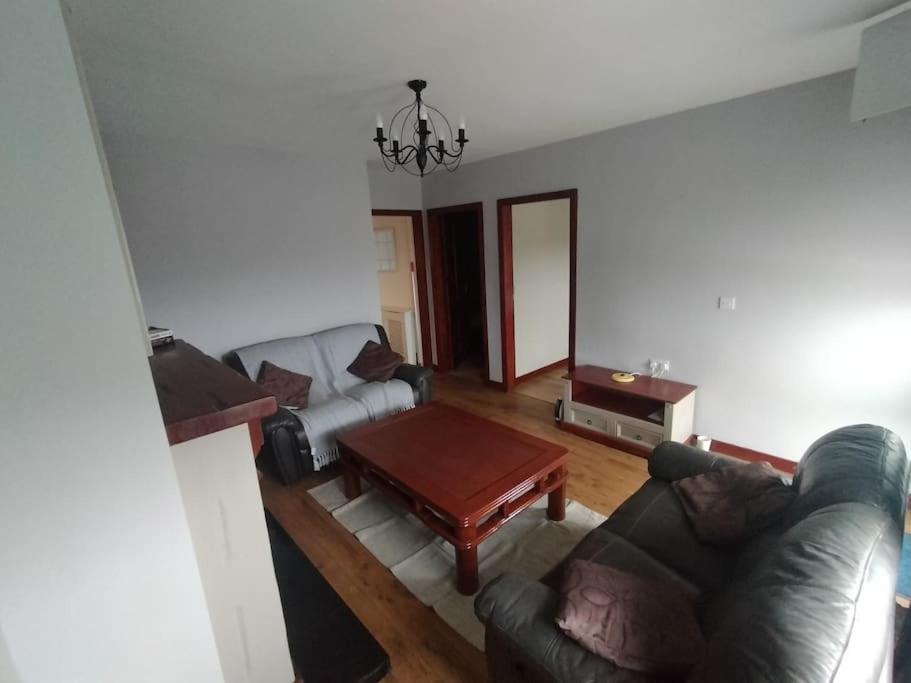 Mountain View Cottage Belfast Buitenkant foto